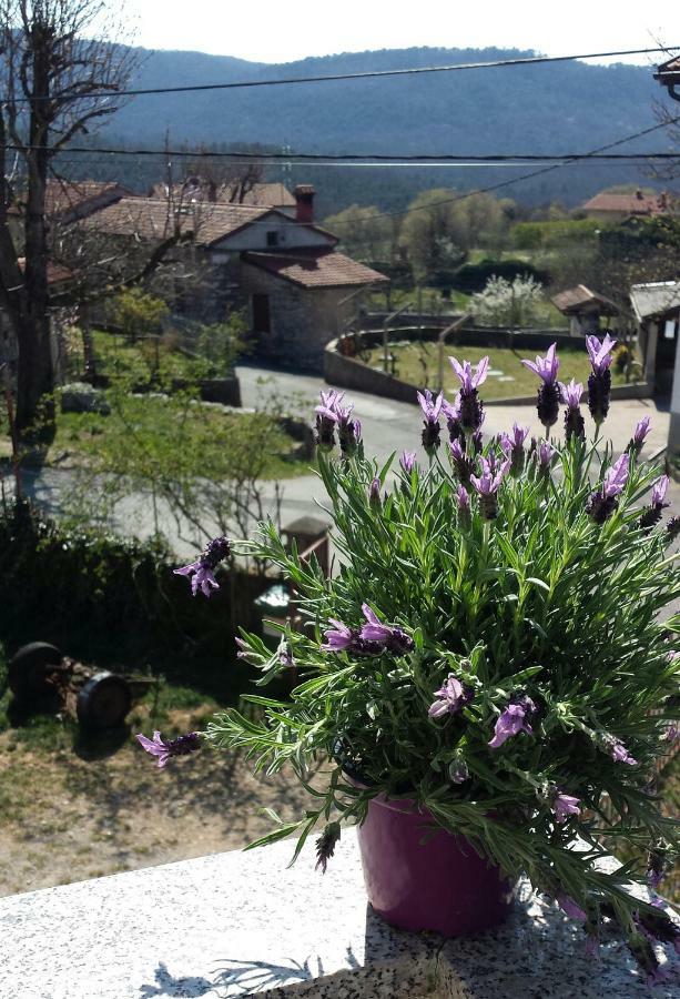 Moonflower Pliskovica Exterior photo